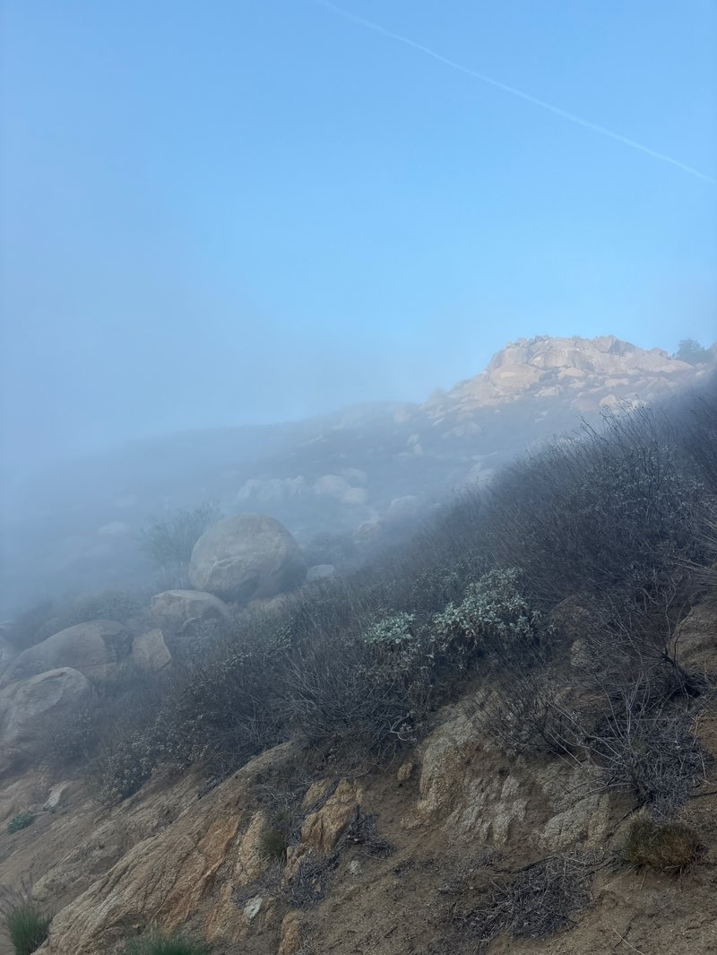 walking near me in Mount Rubidoux Park in autumn