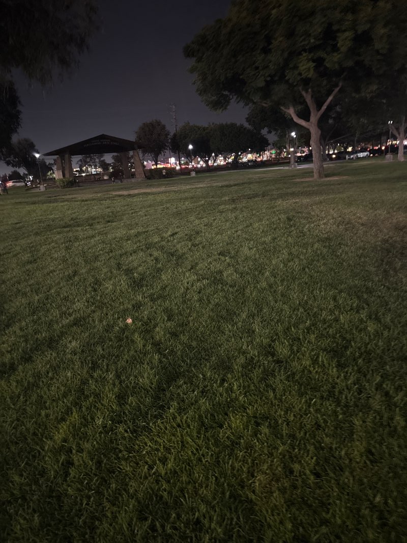 walking near me in Rialto City Park in autumn