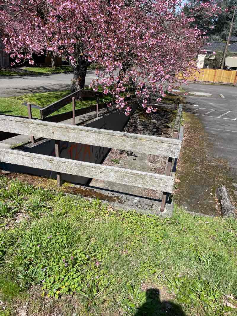 walking near me in Interpretive Park in spring
