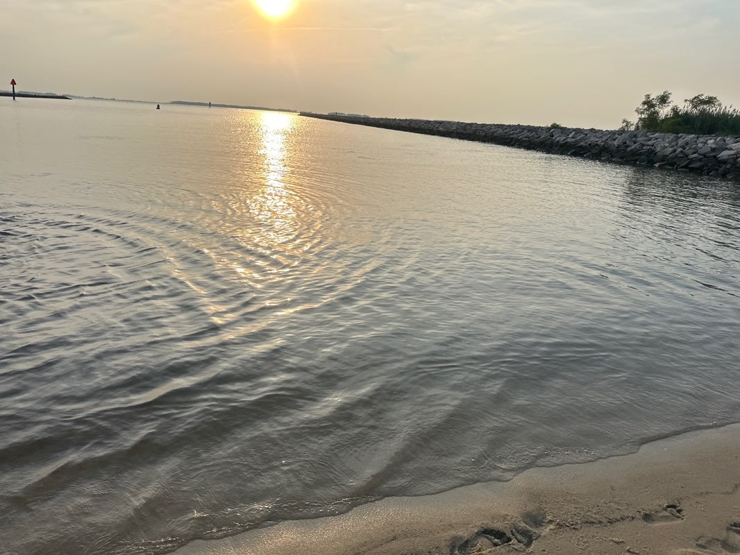 walking near me in Cedar Hill Park in summer