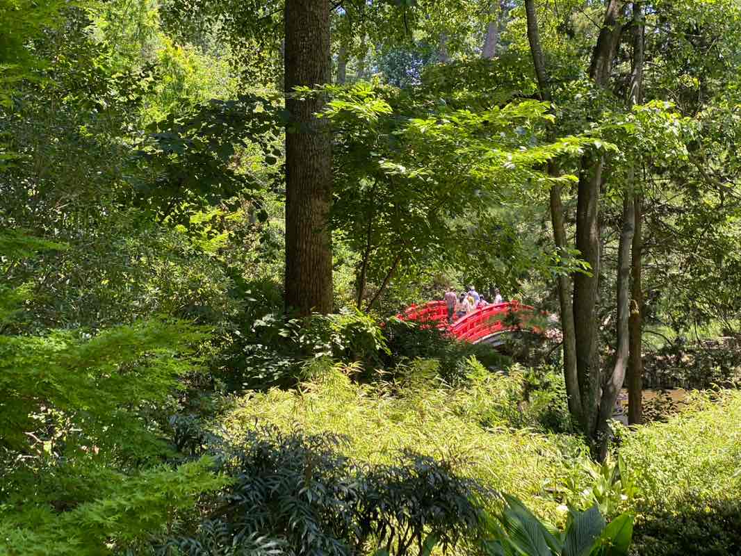 walking near me in Sarah P. Duke Gardens in summer