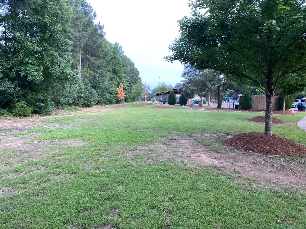 walking near me in Luther Green Park in summer