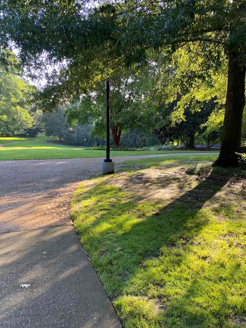 walking near me in Fred Fletcher Park in summer