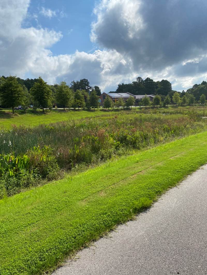 walking near me in Indian Creek Greenway in autumn
