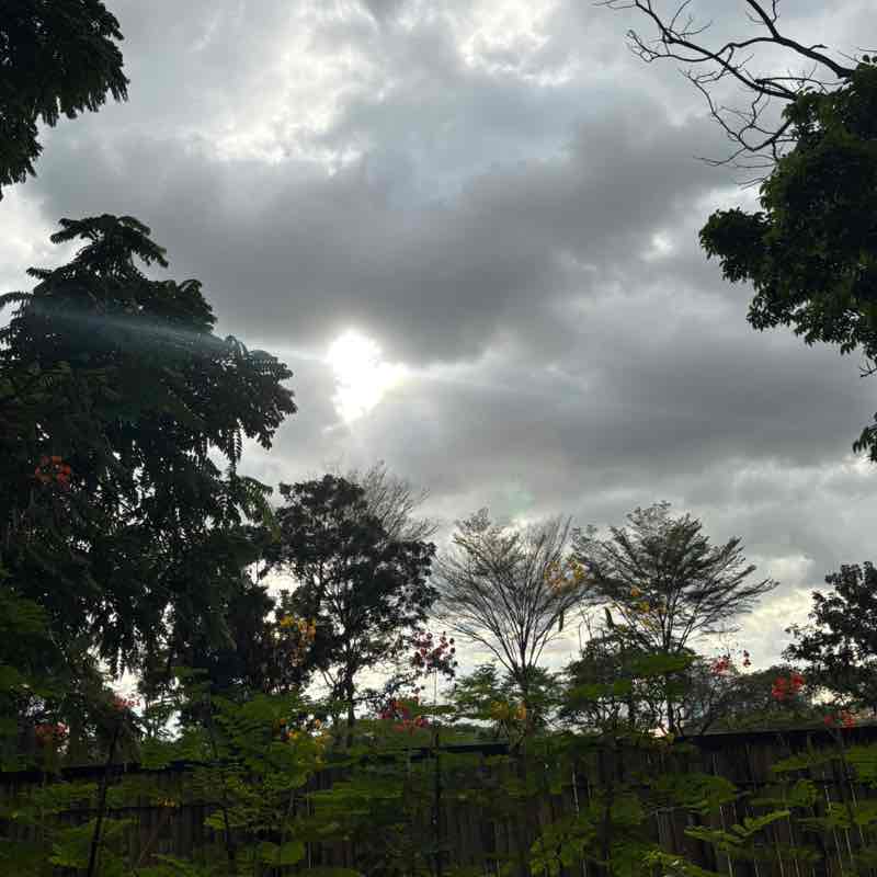 Jameica Torno post 1