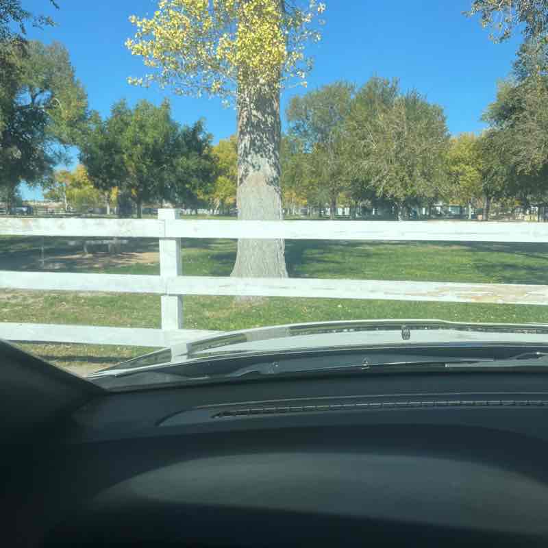 albert thompkins post 1