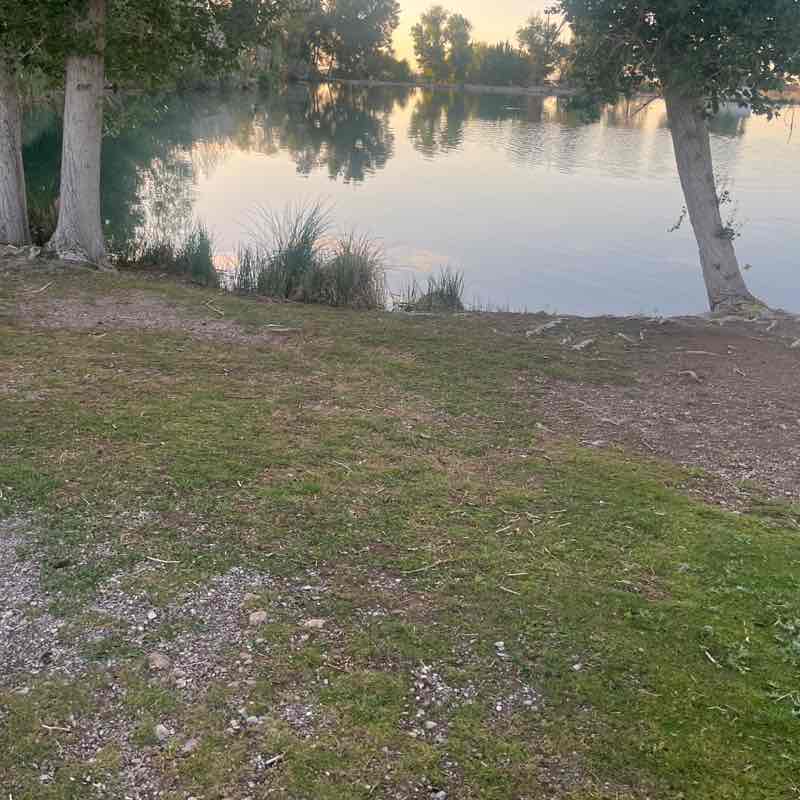 albert thompkins post 1