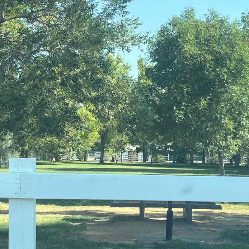 albert thompkins post 1