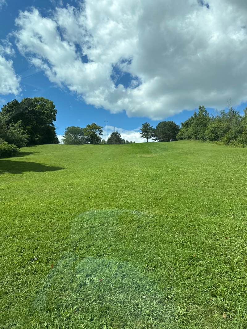 walking near me in Lime Kiln Park in autumn