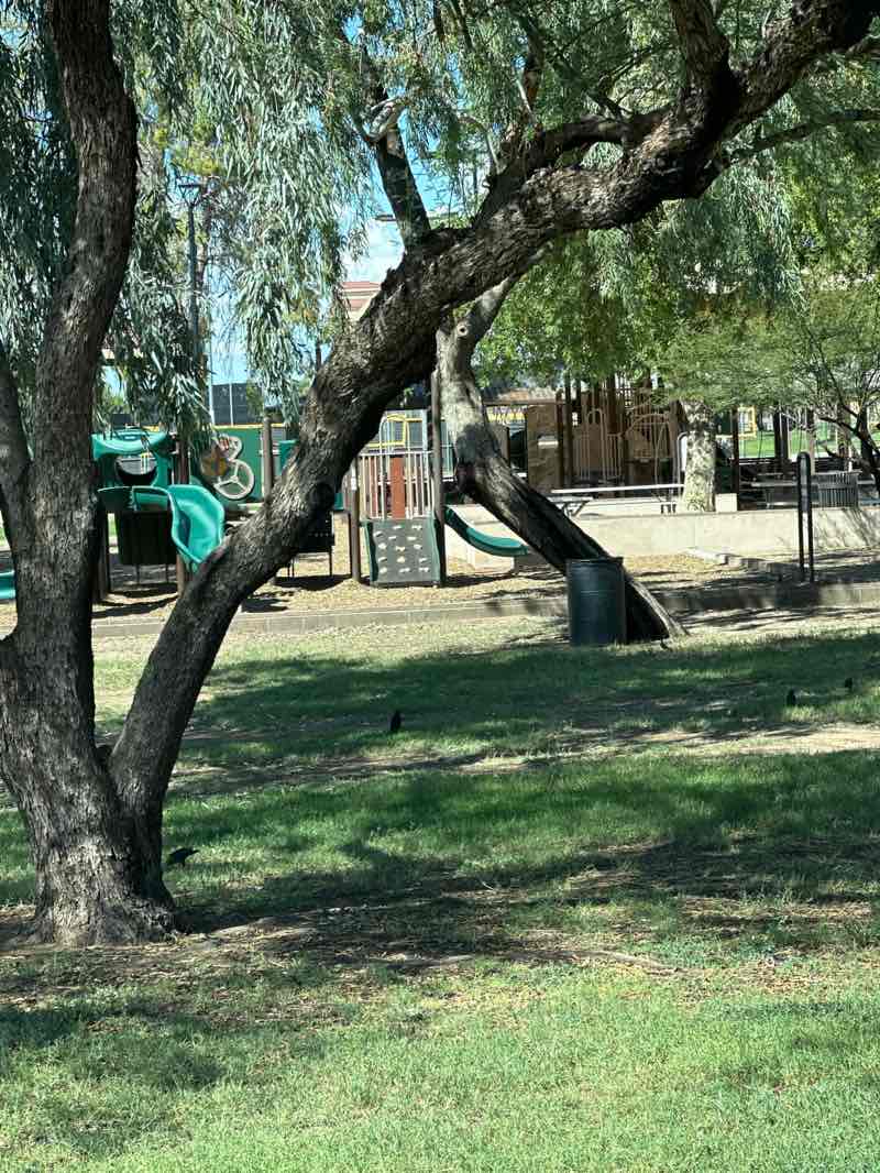 walking near me in Indian School Park in autumn
