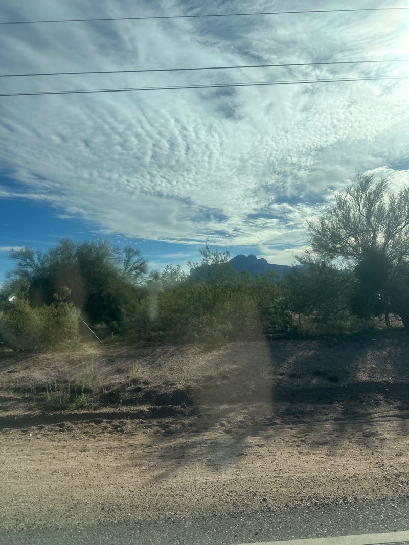 walking near me in Prospector Park in winter