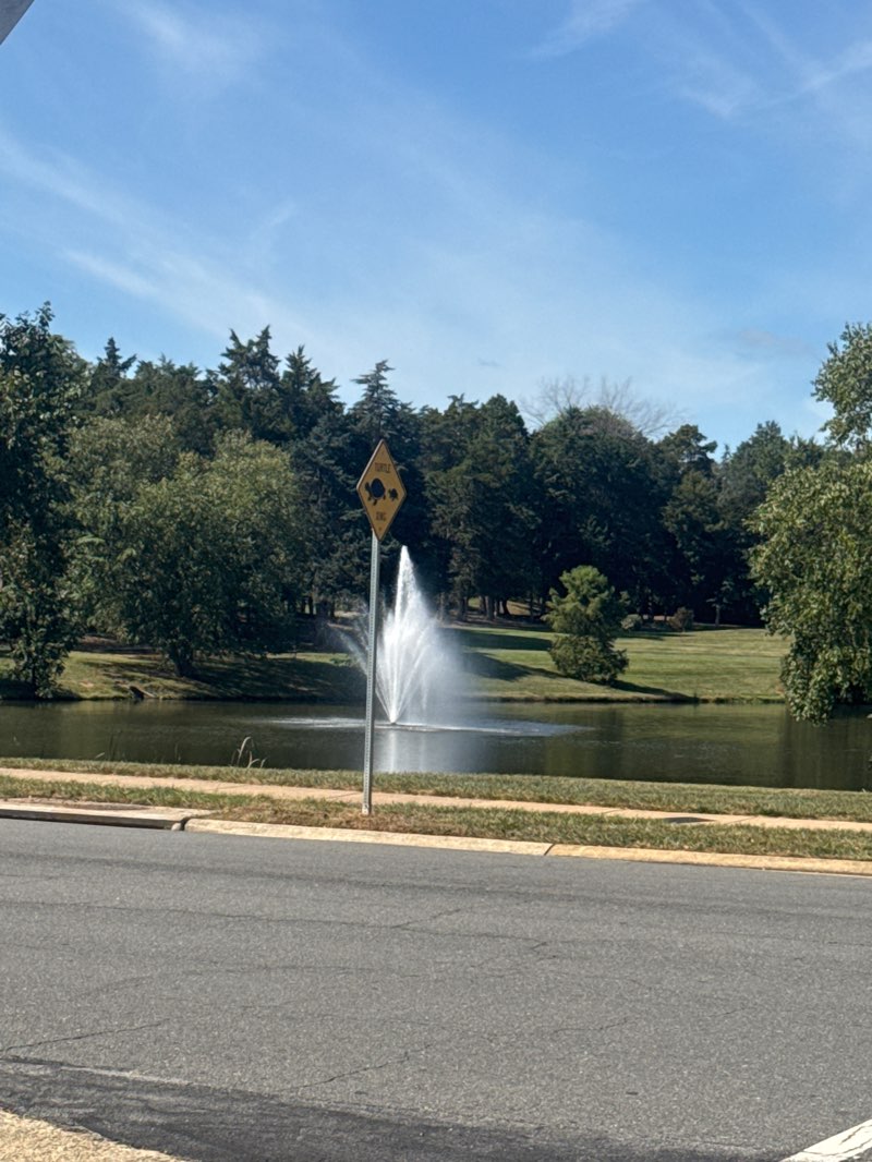 walking near me in Greg Crittenden Memorial Park in autumn