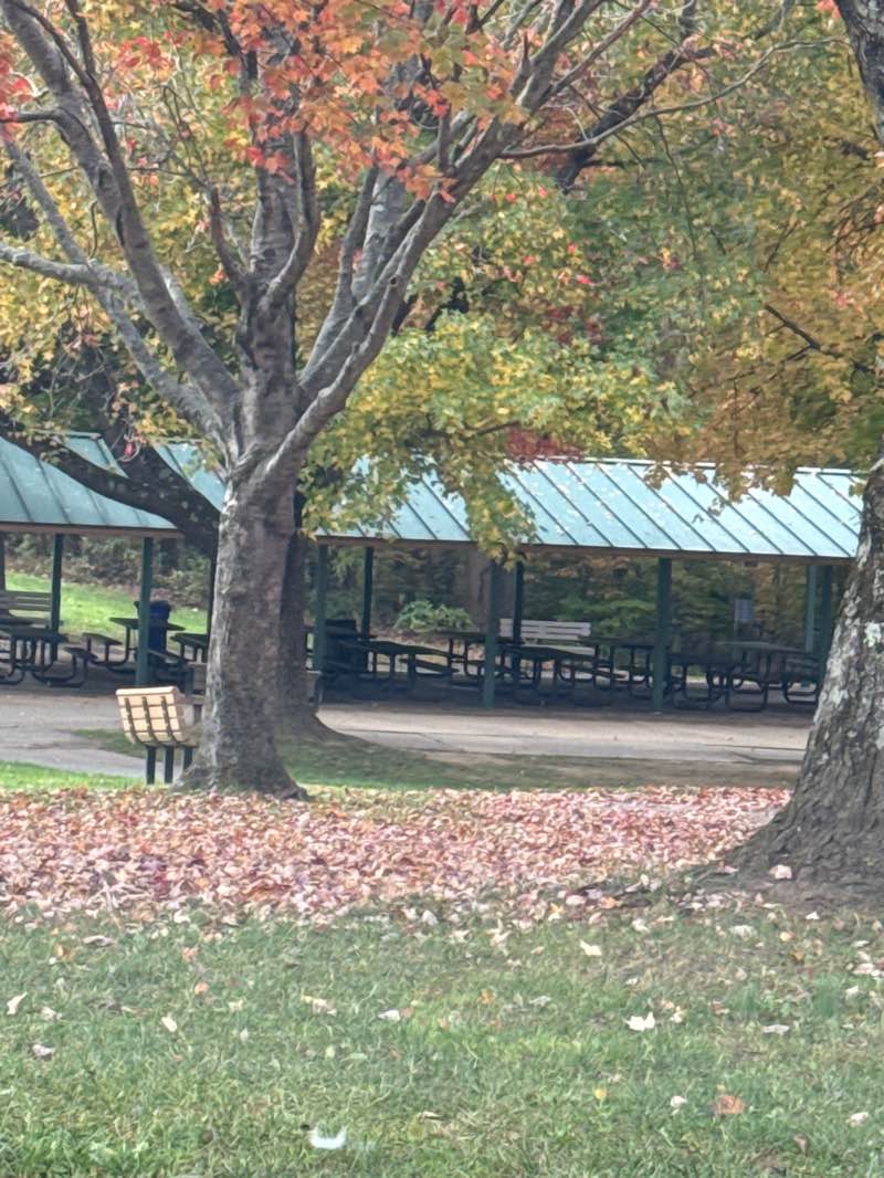 walking near me in Cedar Lane Park in autumn
