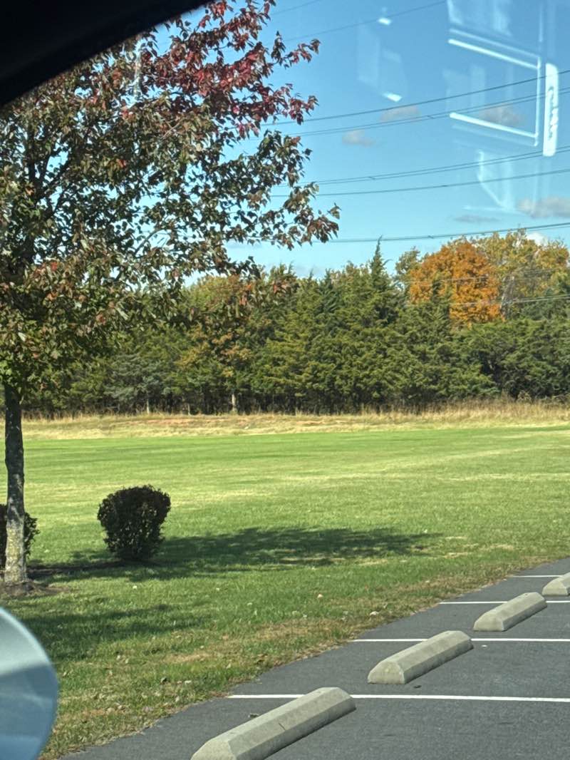 walking near me in Hampshire Park in autumn