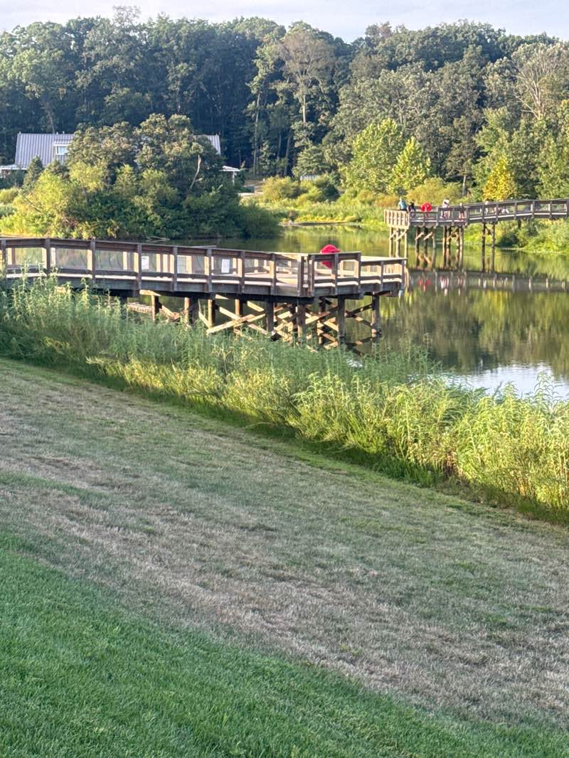 walking near me in Hal and Berni Hanson Regional Park in autumn