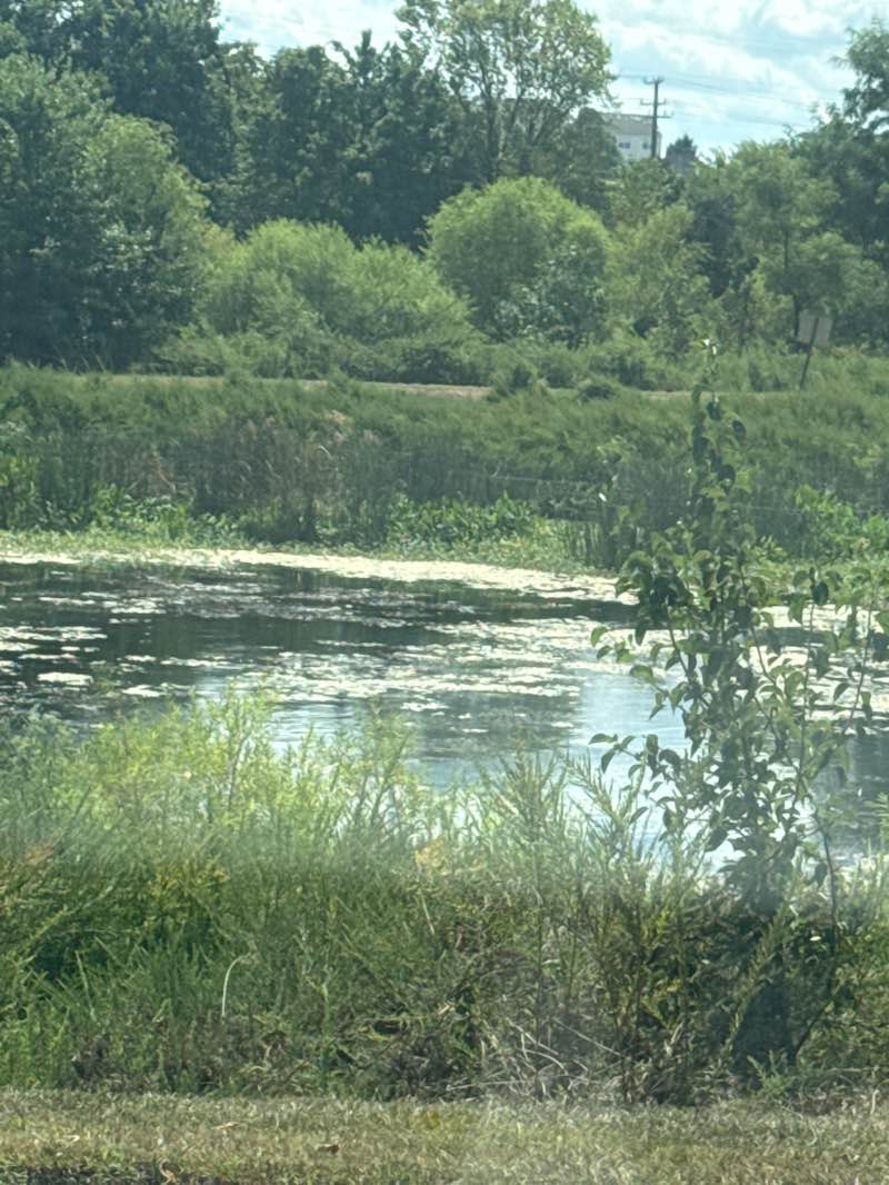walking near me in D&L Lunchtime Park in autumn