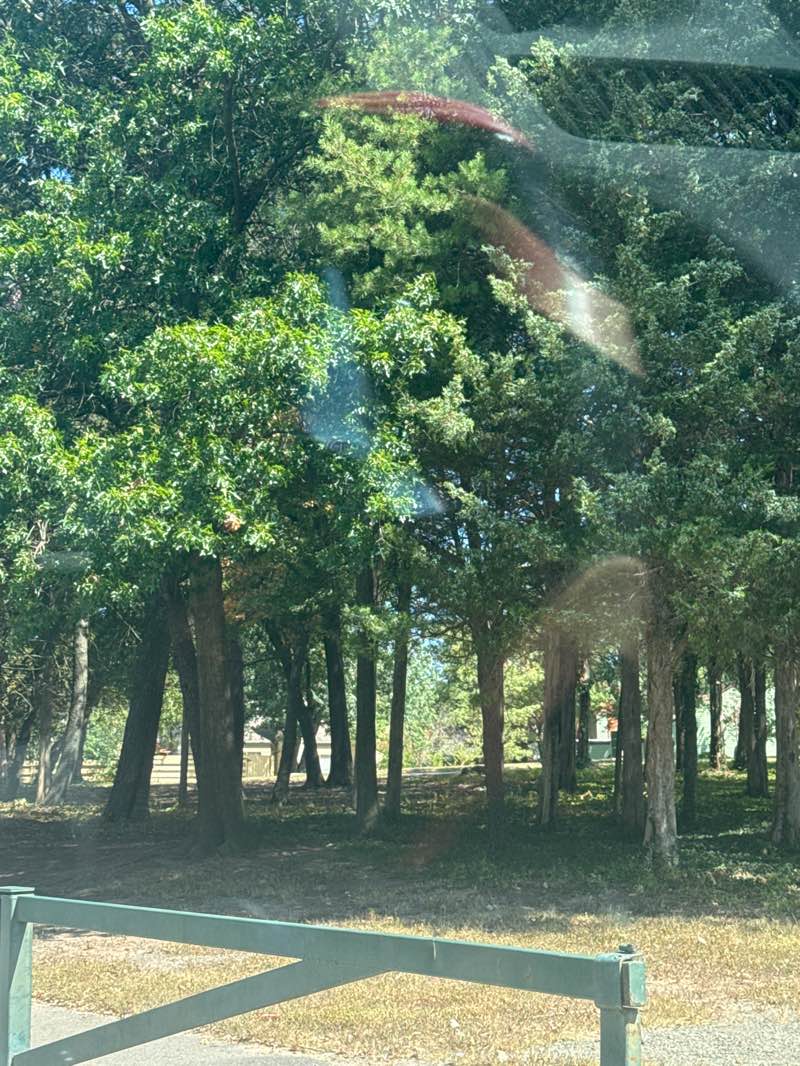 walking near me in Chandon Park in autumn