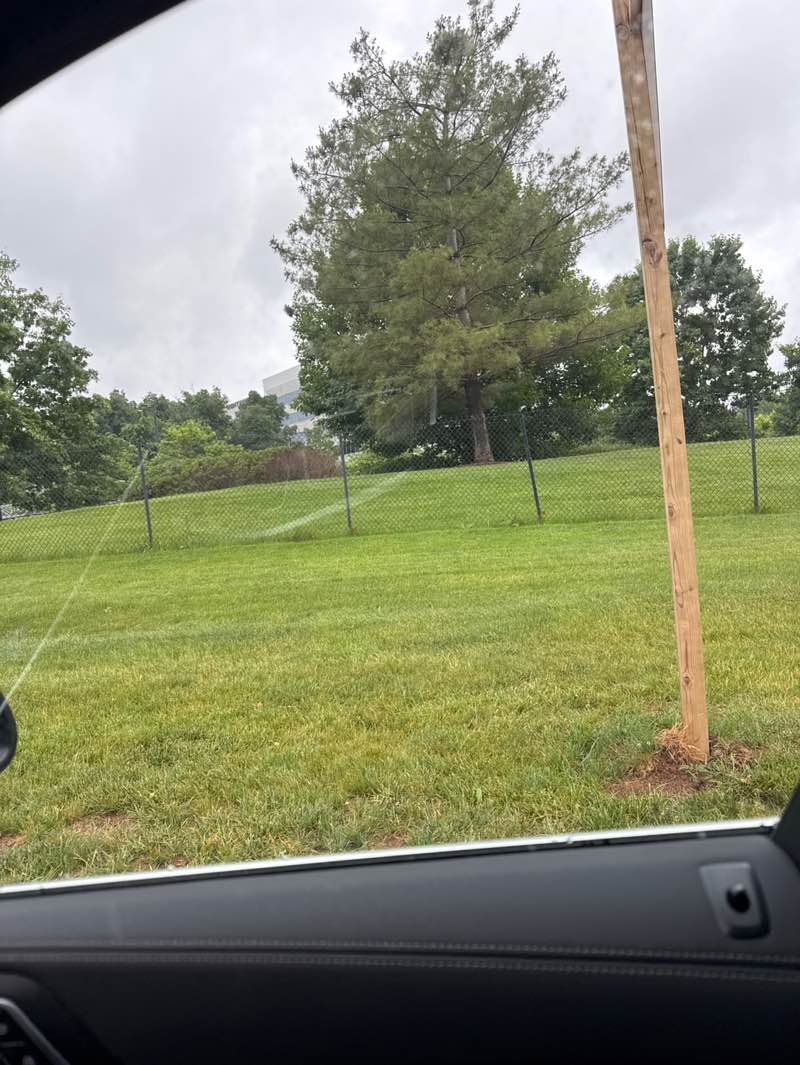 walking near me in Verizon Media Campus Park in summer