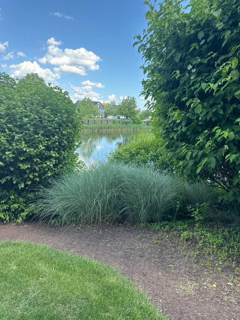 walking near me in Pin Oak Community Park in summer