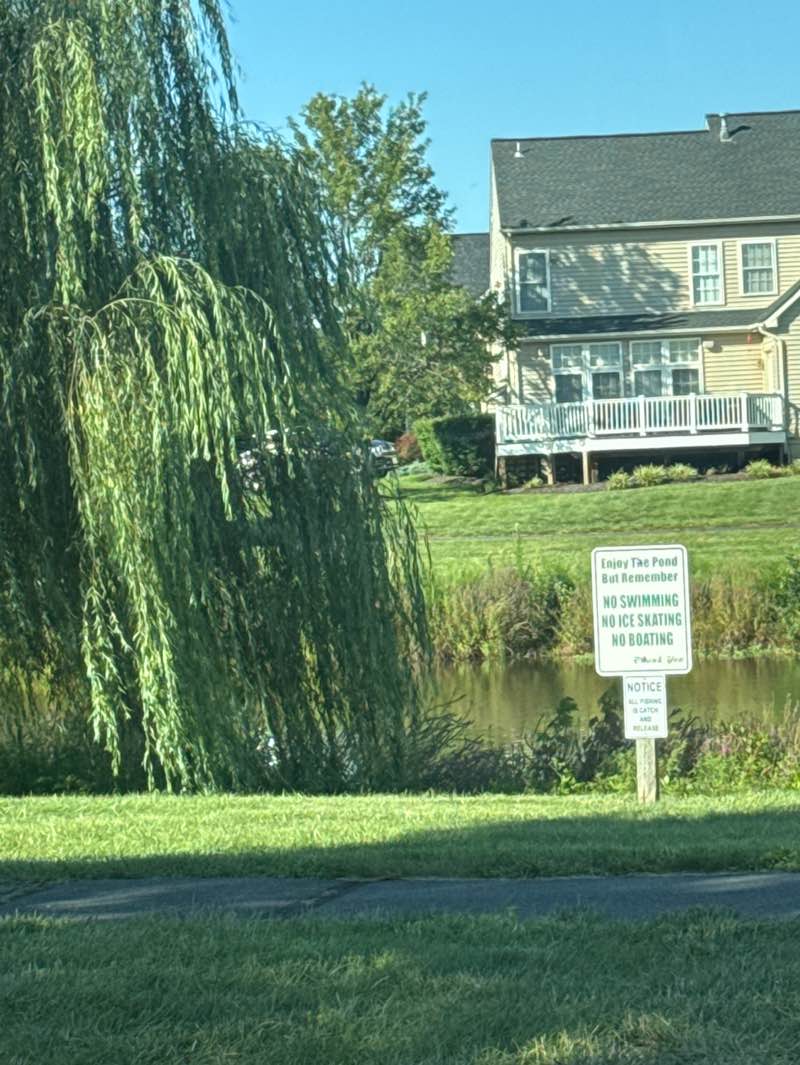 walking near me in Kirkpatrick Farms Pond Park in summer