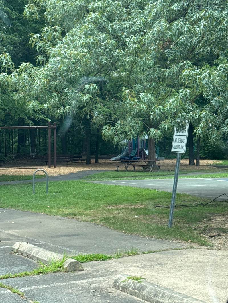 walking near me in Cutter Mill Park in summer