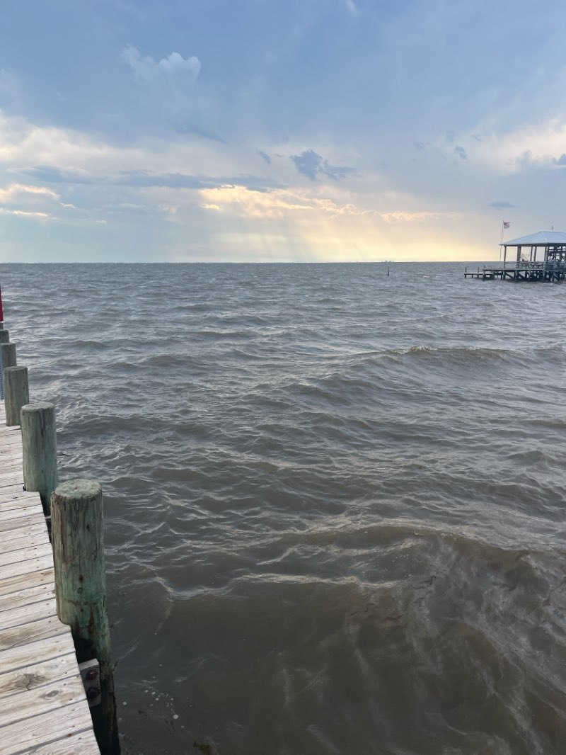 walking near me in Mullet Point Park in summer