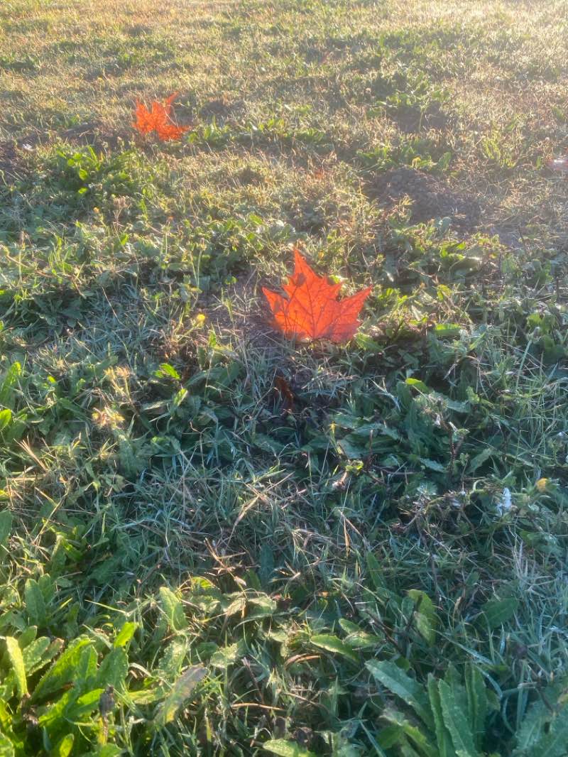 walking near me in Martinez Waterfront Park in autumn