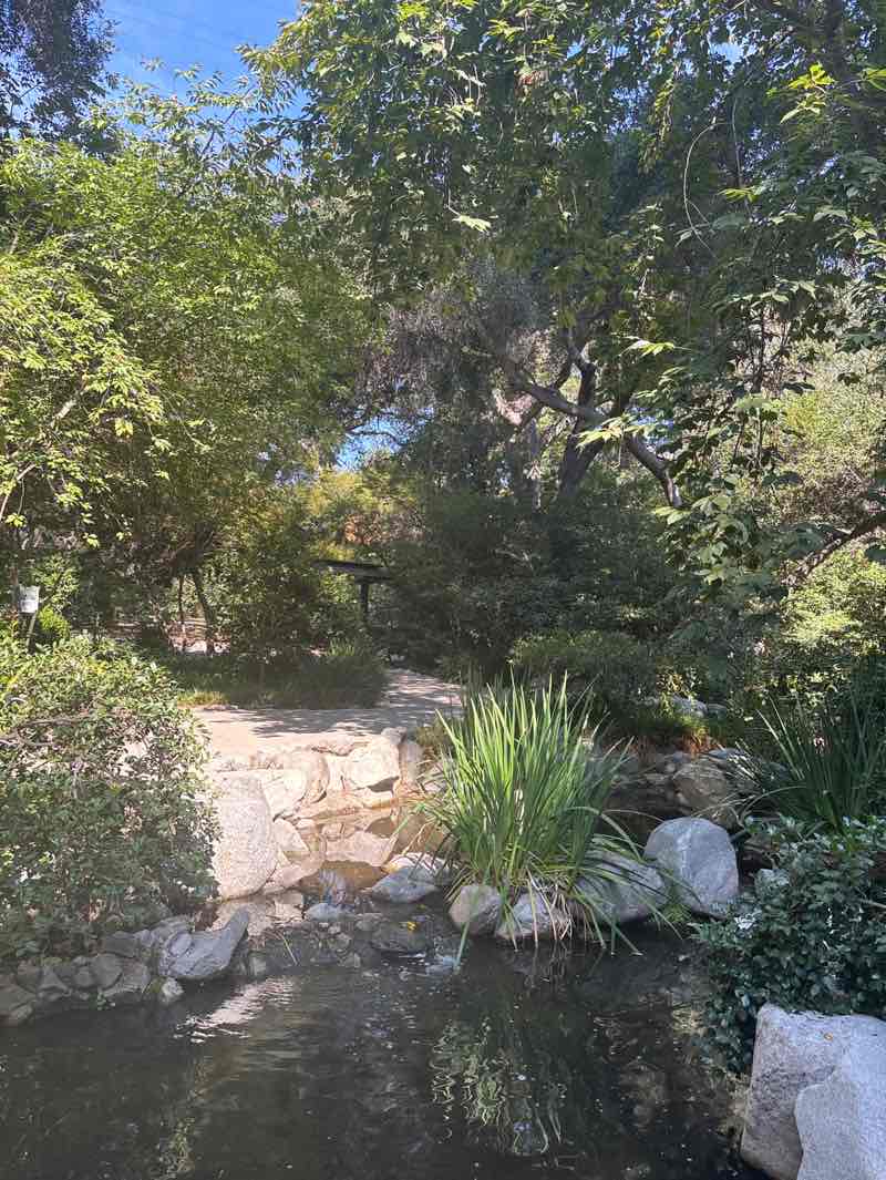 walking near me in Descanso Gardens in autumn