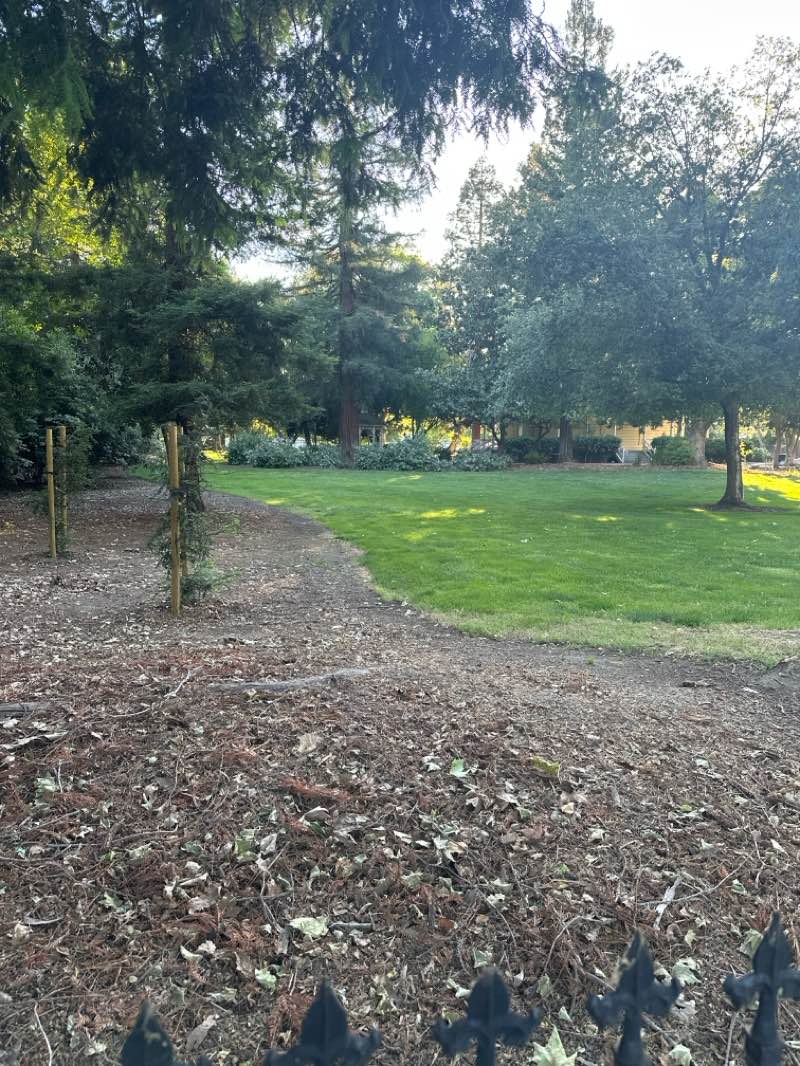 walking near me in Bicentennial Park in spring