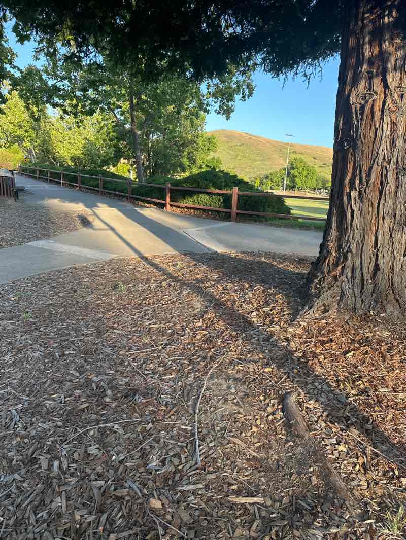 walking near me in Diablo Vista Park in spring