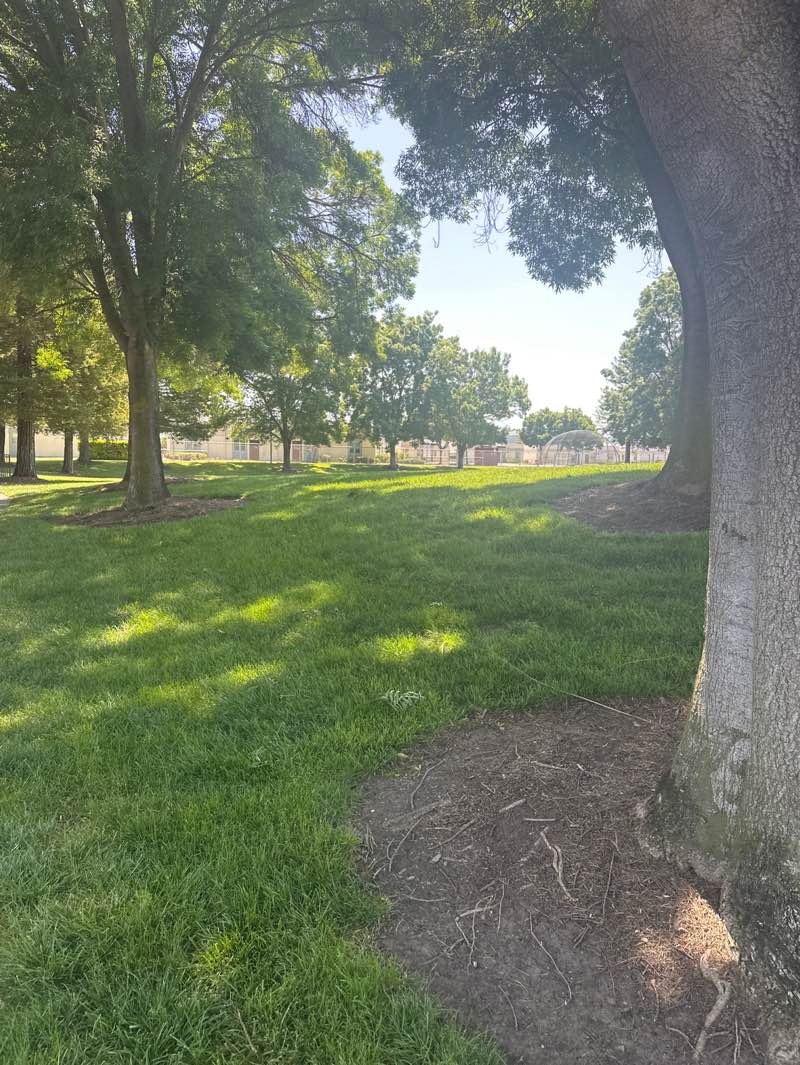walking near me in Amaral Park in spring