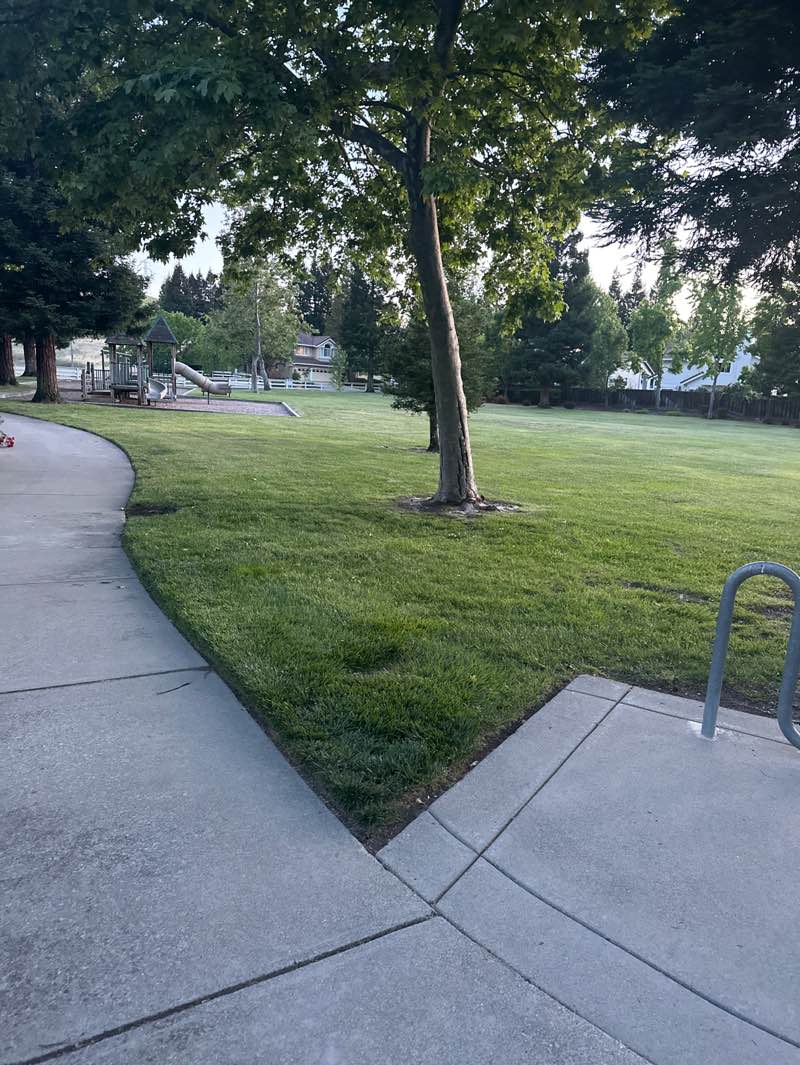 walking near me in Viewpoint Drive Park in spring