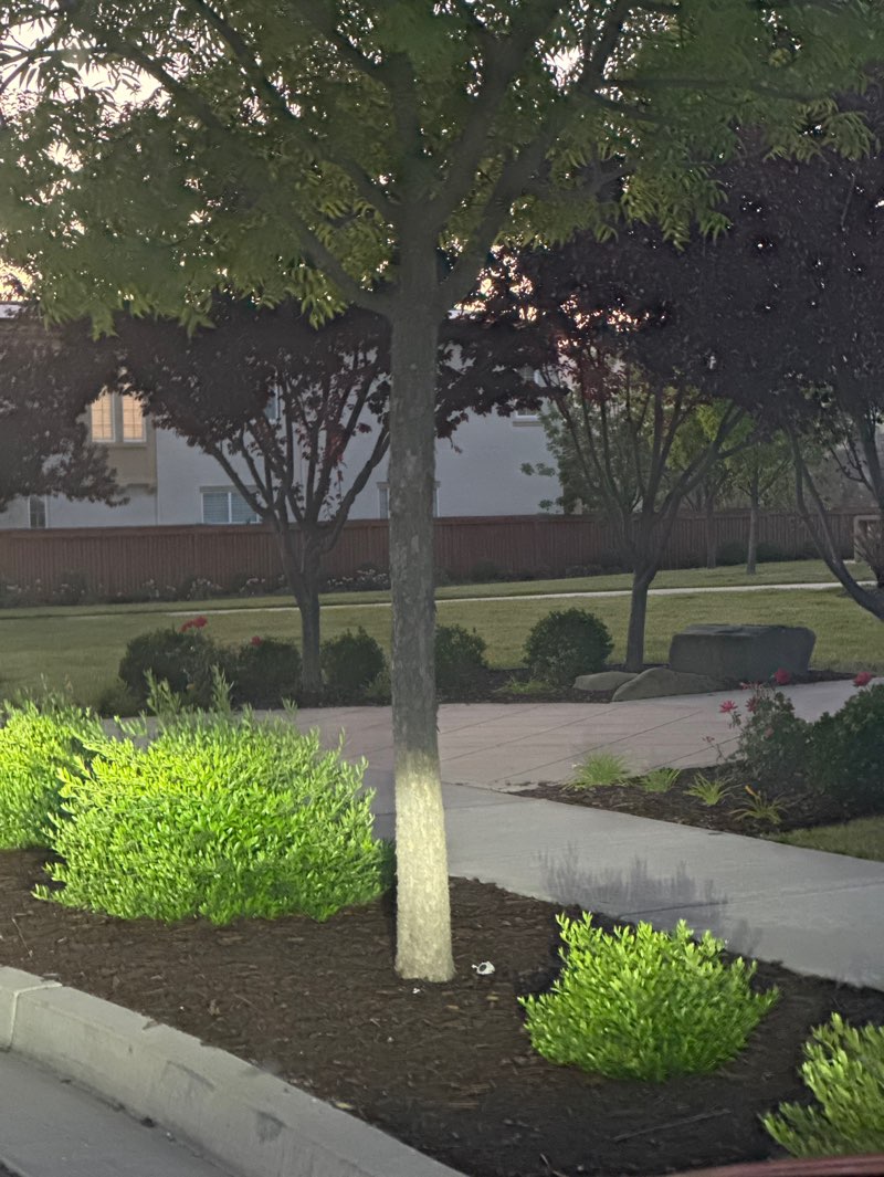 walking near me in Robert Duchi Park in summer