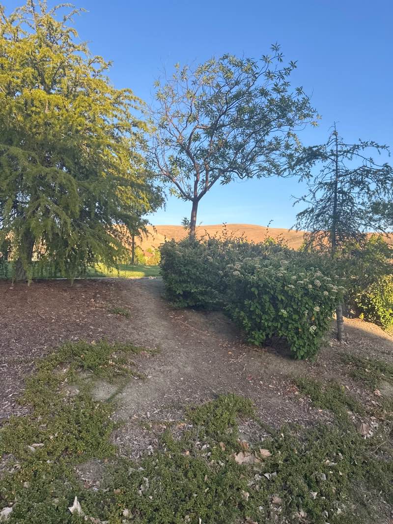 walking near me in Piccadilly Square Park in summer
