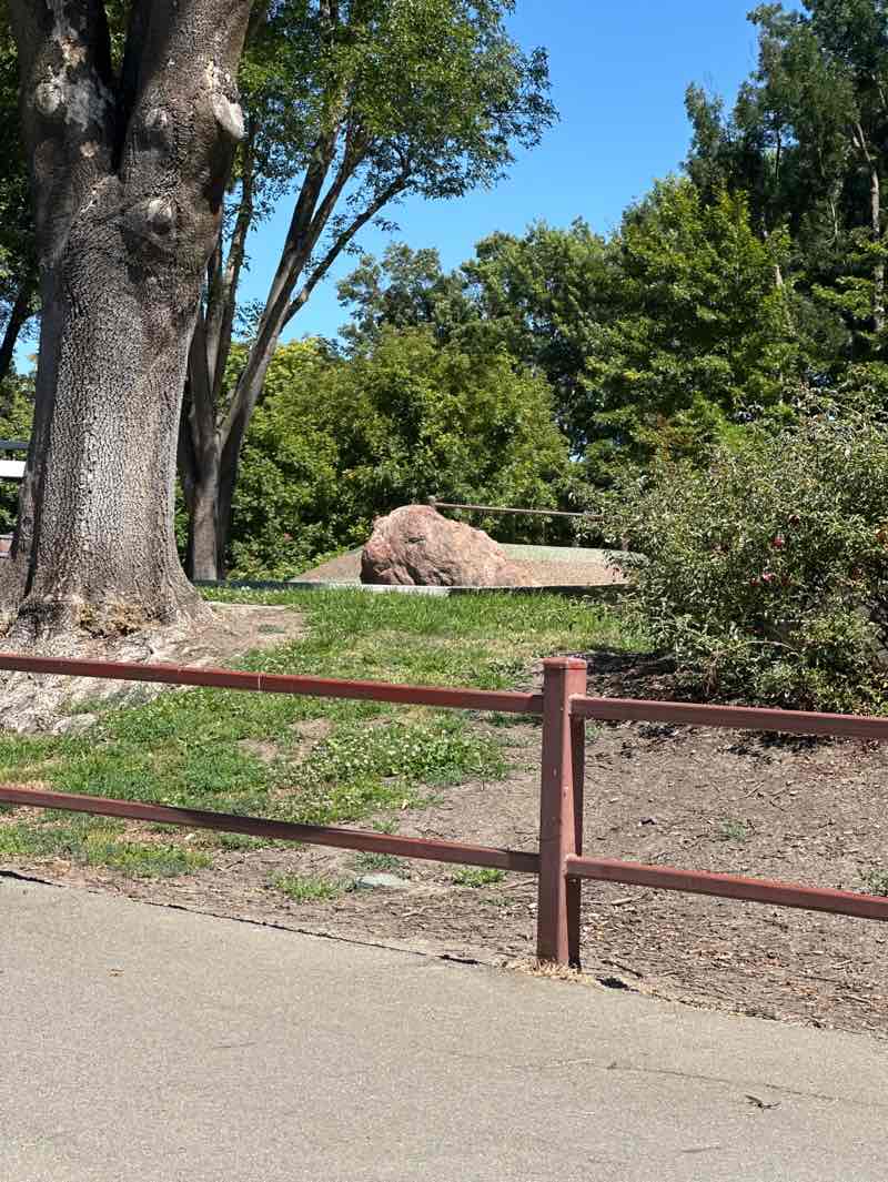 walking near me in Osage Station Park in summer