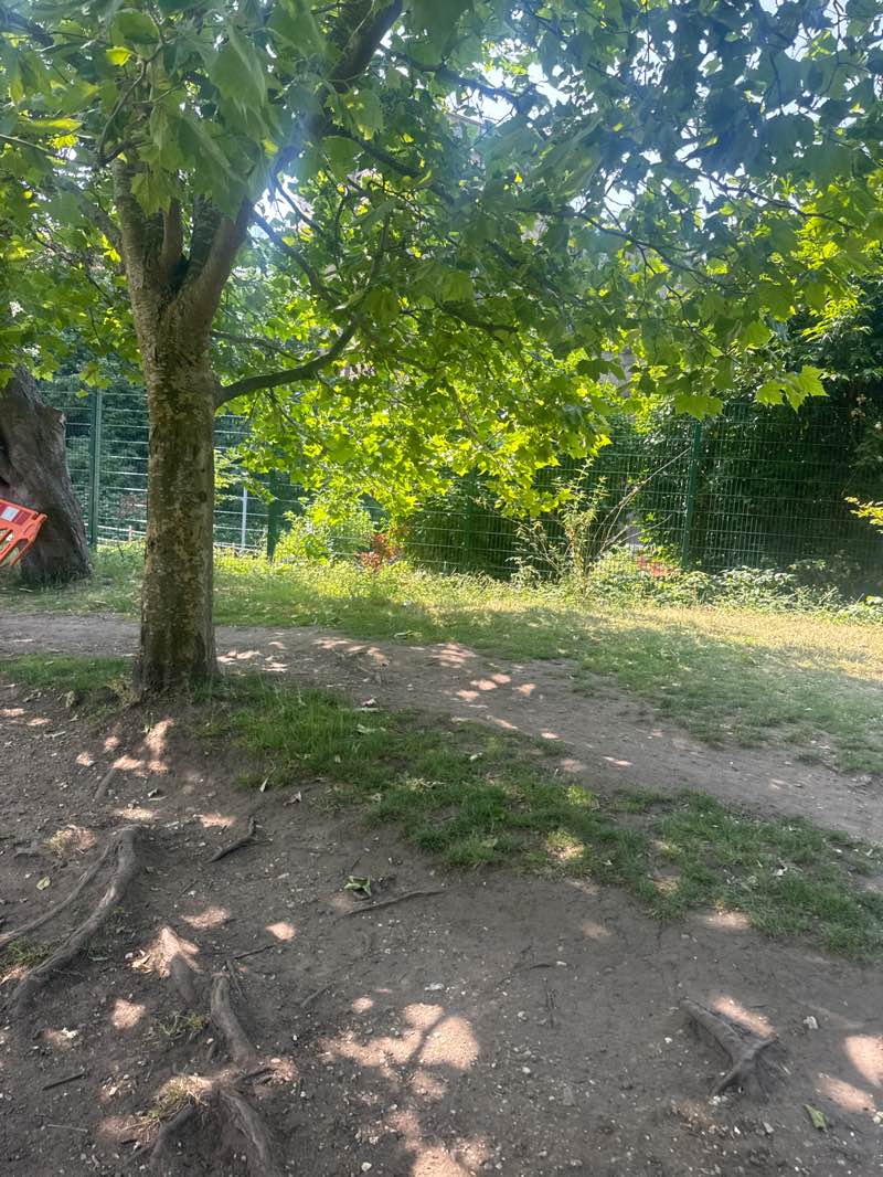 walking near me in Alexandra Park in summer