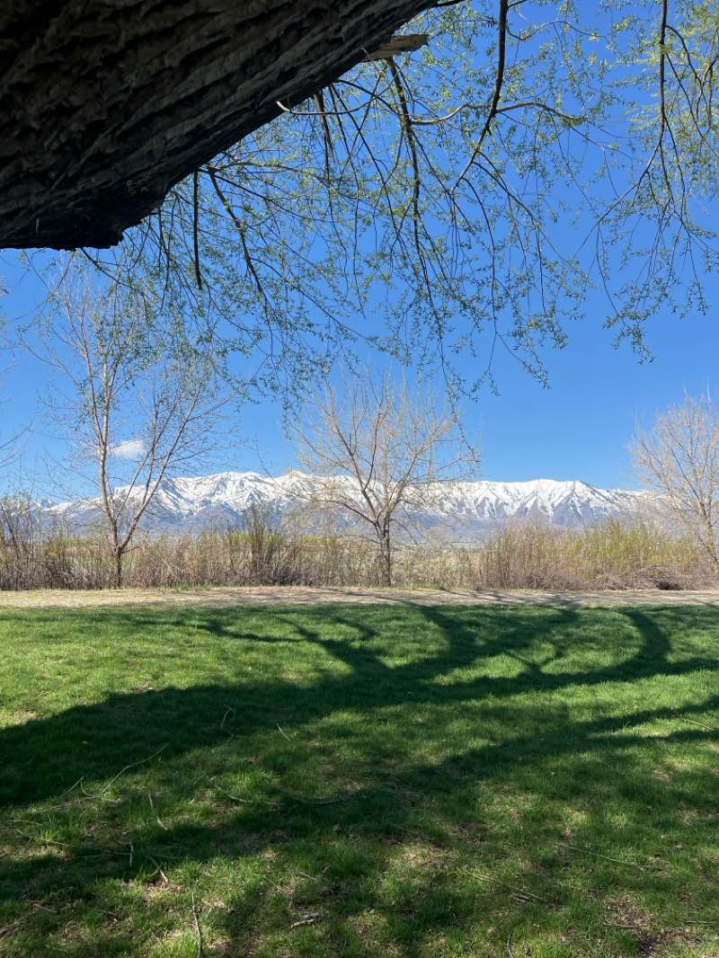 walking near me in Trapper Park in spring