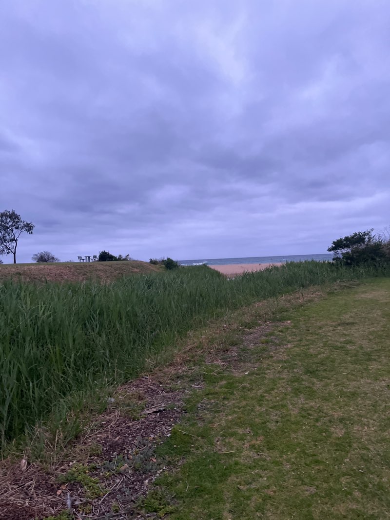 walking near me in Tingara Park in spring