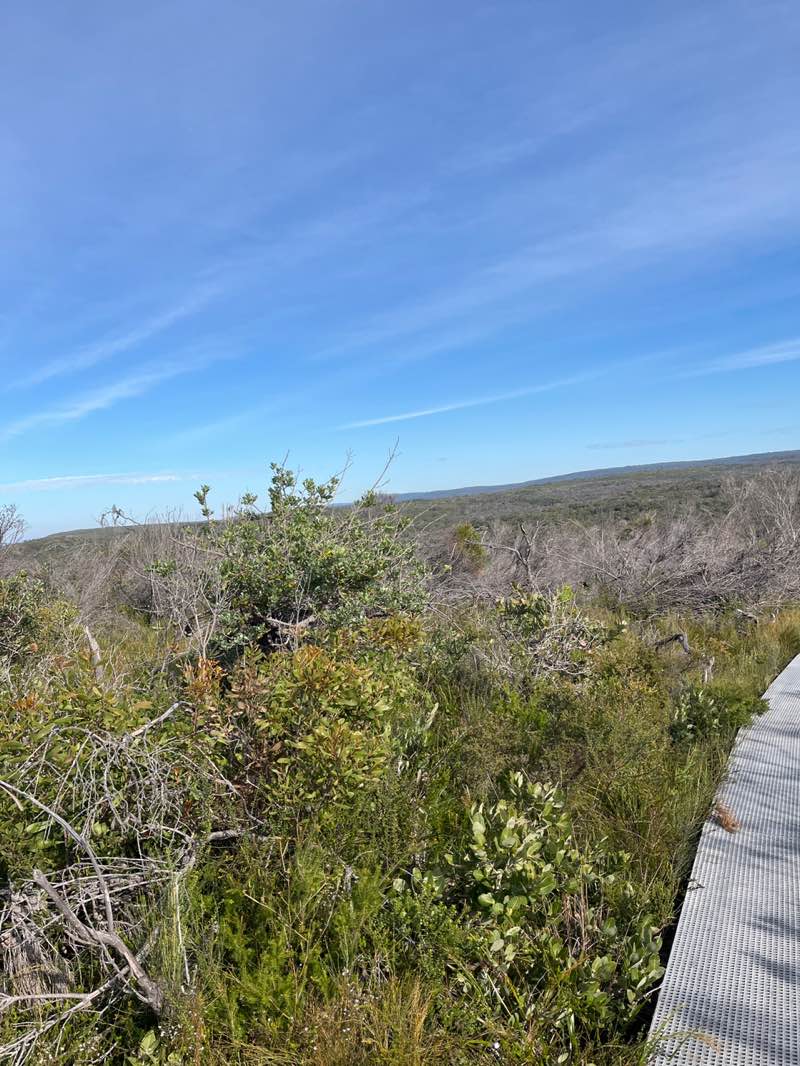 walking near me in Royal National Park in winter