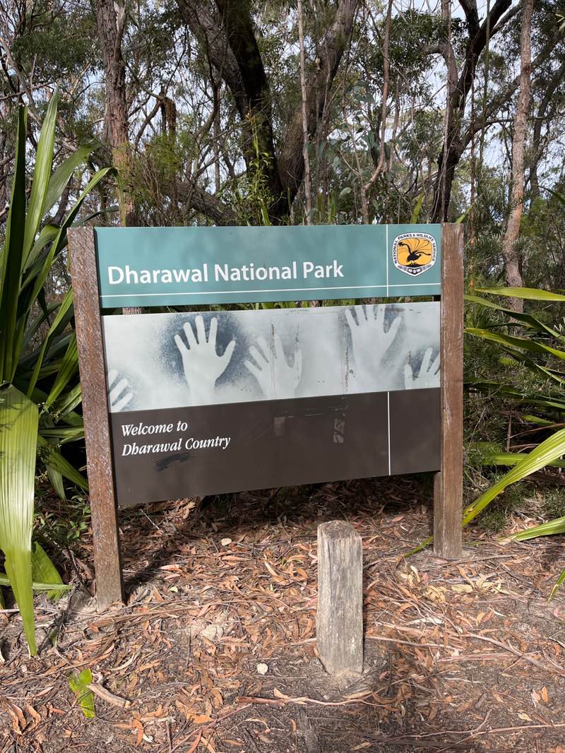 walking near me in Dharawal Nature Reserve in spring