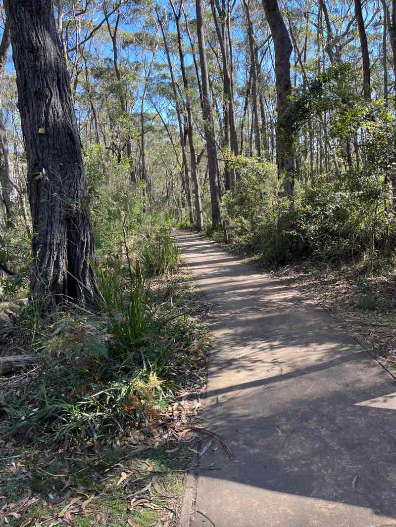 walking near me in Budderoo National Park in winter