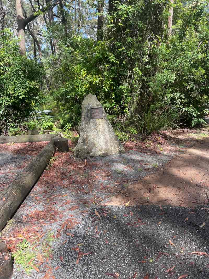 walking near me in Budderoo National Park in summer