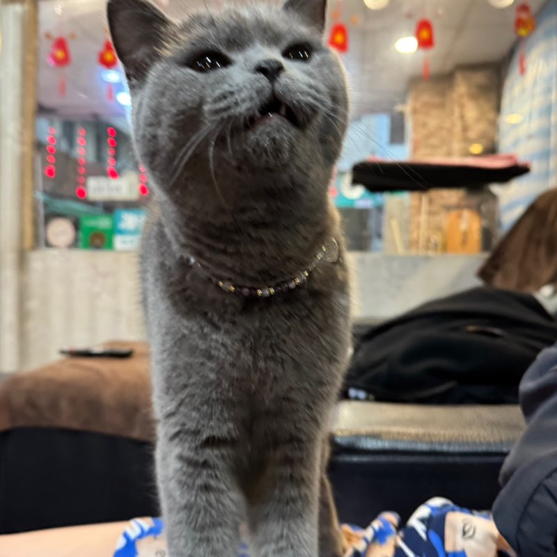 정재희 (j2489.chung) icon