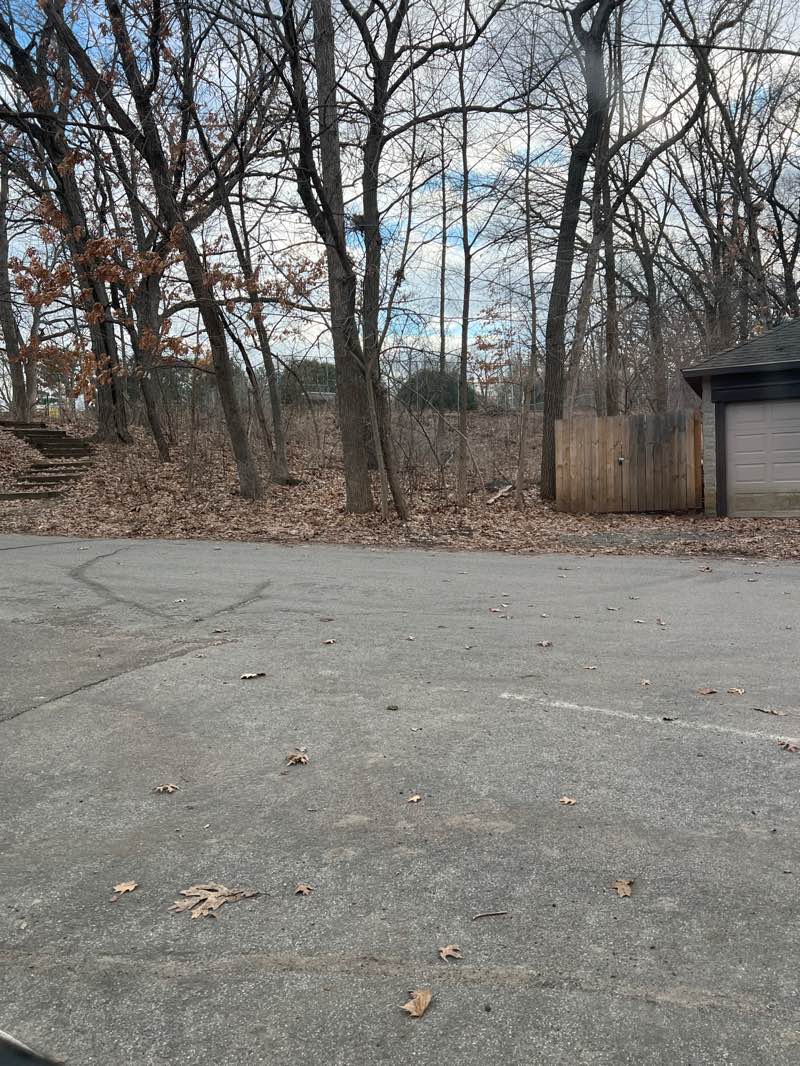 walking near me in Bloomquist Park in spring