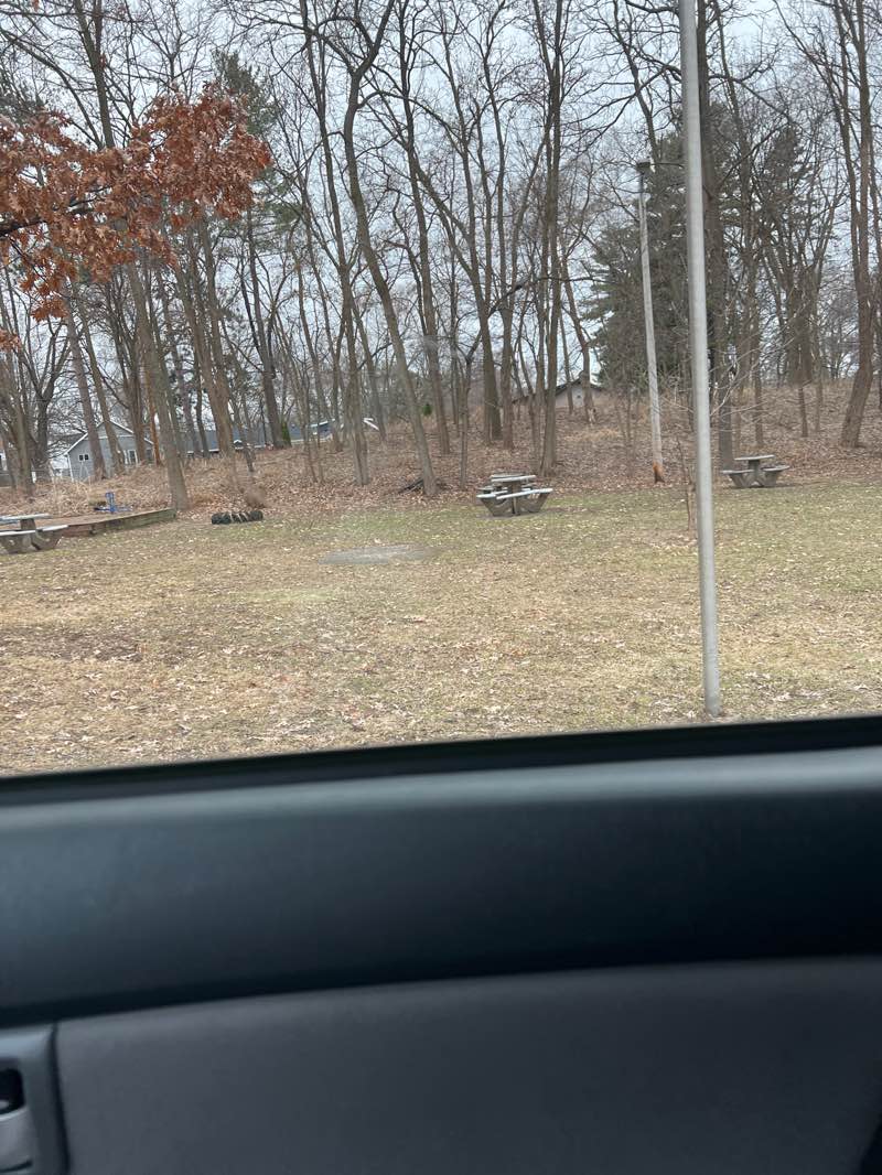 walking near me in Millner Park in spring
