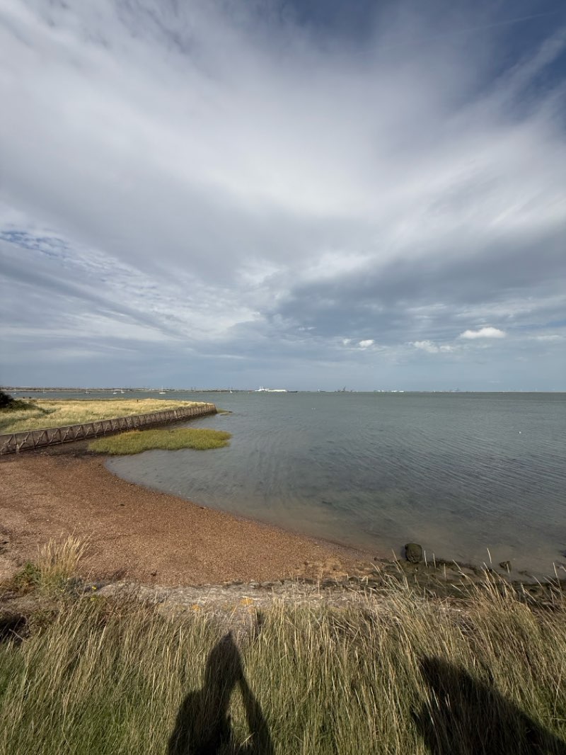 walking near me in The Paddock in autumn