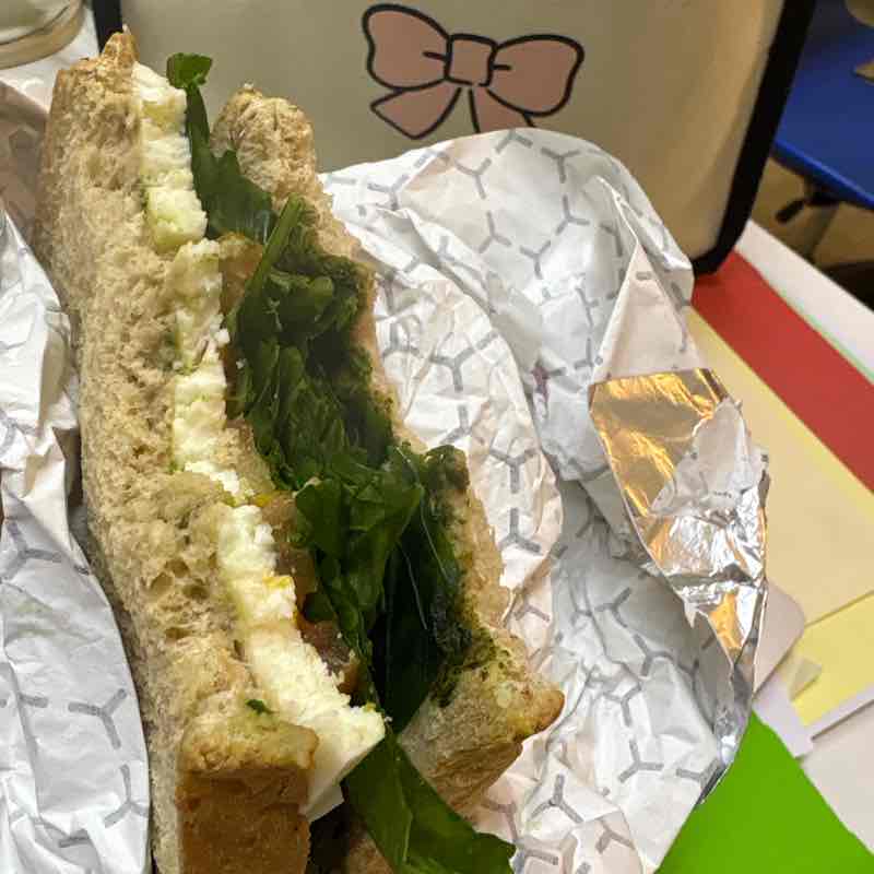 قروب الفقمات 🛑🛑🛑 beesho11 post image