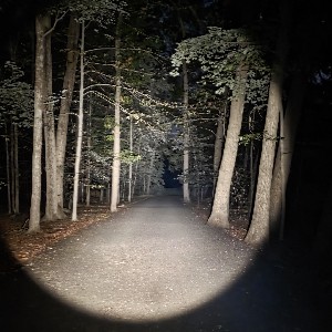 👣-Sarah Einhorn-👣