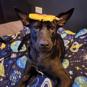 Arelly Guzman profile