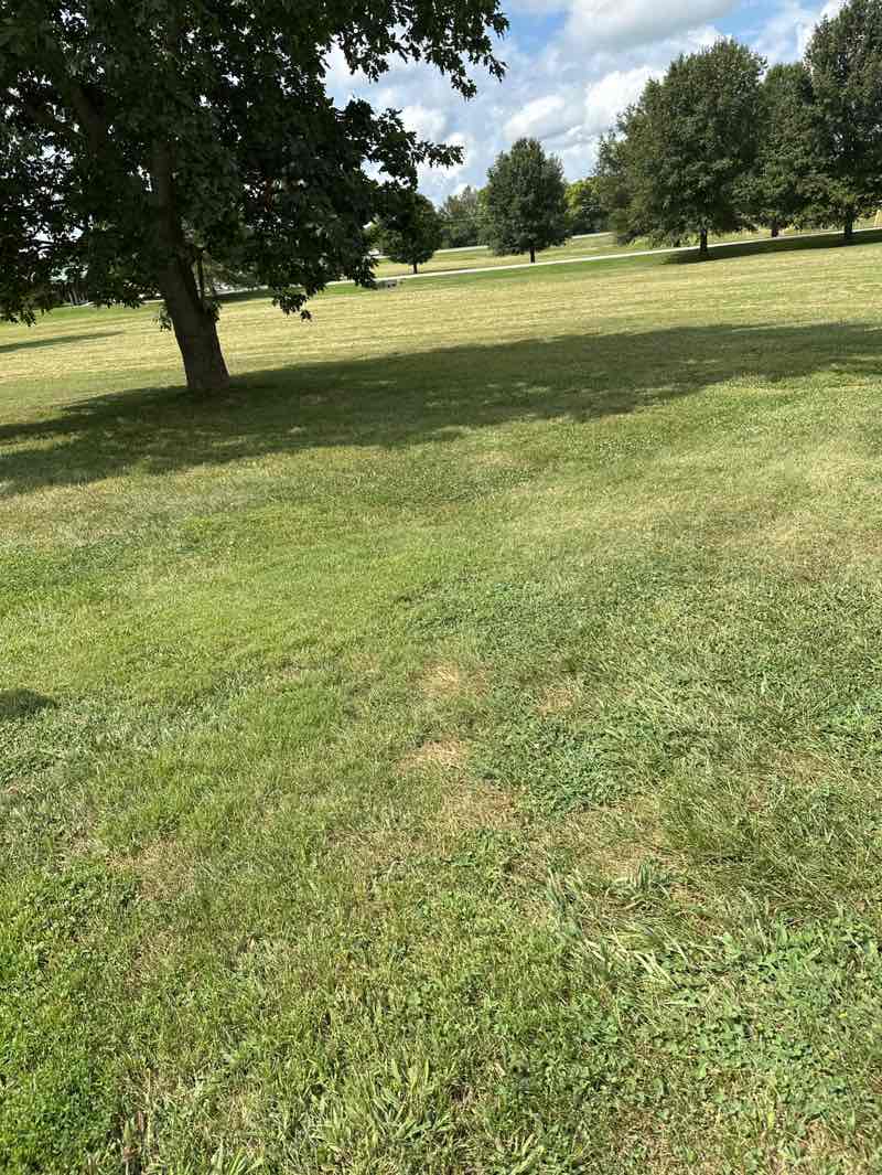 walking near me in Anderson Dean Community Park in autumn